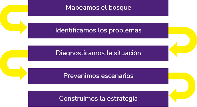 • Mapeamos todo el bosque. 
• Identificamos los problemas. 
• Diagnosticamos la situación. 
• Prevenimos escenarios. 
• Construimos la estrategia.
